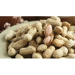 Khi mang thai có được ăn đậu phộng không?