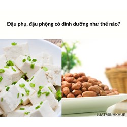 Đậu phụ, đậu phộng có dinh dưỡng như thế nào?
