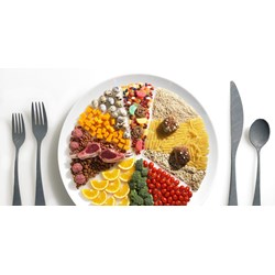 Hướng dẫn thực hiện về chế độ ăn low carb đúng cách