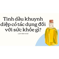 Tinh dầu khuynh diệp có tác dụng đối với sức khỏe gì?