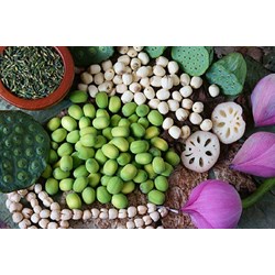 Trẻ nhỏ ăn hạt sen có tốt cho sức khỏe không?