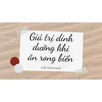 Giá trị dinh dưỡng khi ăn rong biển