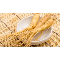 Nhân sâm và mang thai có an toàn, rủi ro