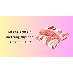 Lượng protein có trong thịt heo là bao nhiêu ?