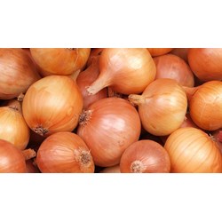 Thành phần và lợi ích sức khỏe của củ hành tây