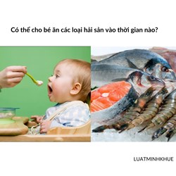 Có thể cho bé ăn các loại hải sản vào thời gian nào?