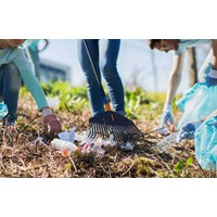 Gợi ý một số việc cho chủ đề "em đã làm gì để góp phần bảo tồn cảnh quan thiên nhiên?"