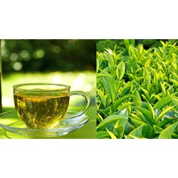 Tác hại của việc làm dụng trà và lý do khiến bạn không nên uống quá nhiều