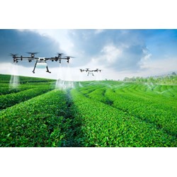 Sản xuất cây công nghiệp ở nước ta hiện nay...?