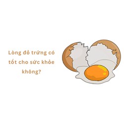 Lòng đỏ trứng có tốt cho sức khỏe không?