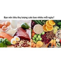 Bạn nên tiêu thụ lượng calo bao nhiêu mỗi ngày?