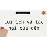 Lợi ích và tác hại của củ dền