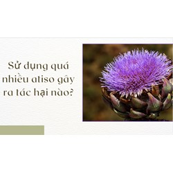 Sử dụng quá nhiều atiso gây ra tác hại nào?