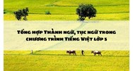 Tổng hợp Thành ngữ, tục ngữ trong chương trình Tiếng Việt lớp 5