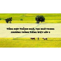 Tổng hợp Thành ngữ, tục ngữ trong chương trình Tiếng Việt lớp 5