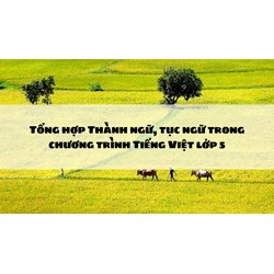 Tổng hợp Thành ngữ, tục ngữ trong chương trình Tiếng Việt lớp 5