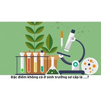 Đặc điểm không có ở sinh trưởng sơ cấp là ....?