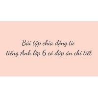Bài tập chia động từ tiếng Anh lớp 6 có đáp án chi tiết