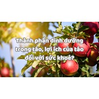 Thành phần dinh dưỡng trong táo, lợi ích của táo đối với sức khoẻ?