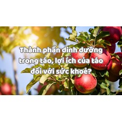 Thành phần dinh dưỡng trong táo, lợi ích của táo đối với sức khoẻ?
