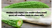 Những tác dụng của mướp đắng (khổ qua) mà không phải ai cũng biết