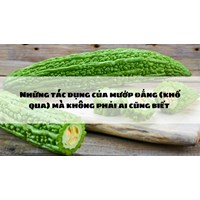 Những tác dụng của mướp đắng (khổ qua) mà không phải ai cũng biết