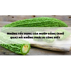 Những tác dụng của mướp đắng (khổ qua) mà không phải ai cũng biết
