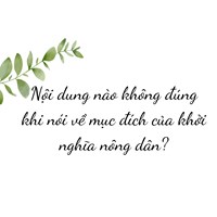 Nội dung nào không đúng khi nói về mục đích của khởi nghĩa nông dân?