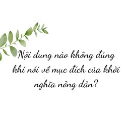 Nội dung nào không đúng khi nói về mục đích của khởi nghĩa nông dân?