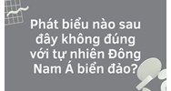 Phát biểu nào sau đây không đúng với tự nhiên Đông Nam Á biển đảo?