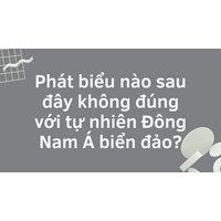Phát biểu nào sau đây không đúng với tự nhiên Đông Nam Á biển đảo?