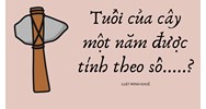 Tuổi của cây một năm được tính theo số.....?