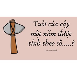 Tuổi của cây một năm được tính theo số.....?