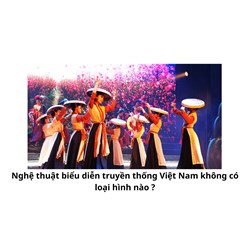 Nghệ thuật biểu diễn truyền thống Việt Nam không có loại hình nào ?