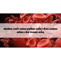 Những chất dinh dưỡng giúp tăng lượng hồng cầu trong máu