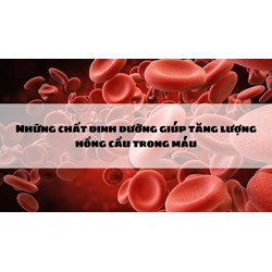 Những chất dinh dưỡng giúp tăng lượng hồng cầu trong máu