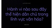 Hành vi nào sau đây thể hiện dân chủ trong lĩnh vực văn hóa?