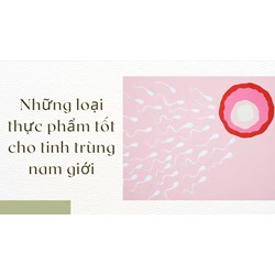Những loại thực phẩm tốt cho tinh trùng nam giới