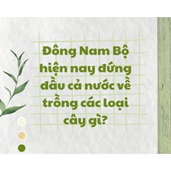 Đông Nam Bộ hiện nay đứng đầu cả nước về trồng các loại cây gì?
