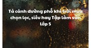 Tả cảnh đường phố khi trời mưa chọn lọc, siêu hay Tập làm văn lớp 5