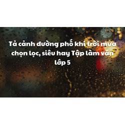 Tả cảnh đường phố khi trời mưa chọn lọc, siêu hay Tập làm văn lớp 5