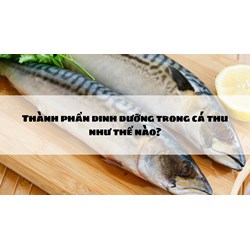 Thành phần dinh dưỡng trong cá thu như thế nào?