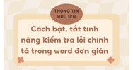 Cách bật, tắt tính năng kiểm tra lỗi chính tả trong word đơn giản