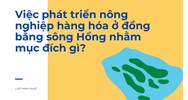 Việc phát triển nông nghiệp hàng hóa ở đồng bằng sông Hồng nhằm mục đích gì?