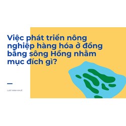 Việc phát triển nông nghiệp hàng hóa ở đồng bằng sông Hồng nhằm mục đích gì?