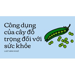 Công dụng của cây đỗ trọng đối với sức khỏe