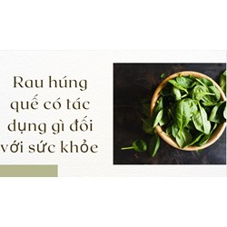 Rau húng quế có tác dụng gì đối với sức khỏe ?