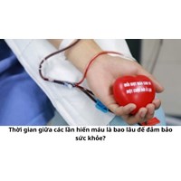 Thời gian giữa các lần hiến máu là bao lâu để đảm bảo sức khỏe?