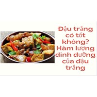 Đậu trắng có tốt không? Hàm lượng dinh dưỡng của đậu trắng