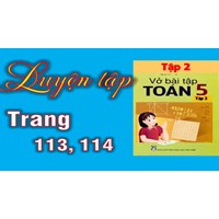 Giải Vở bài tập Toán lớp 5 bài 113 Luyện tập chi tiết nhất